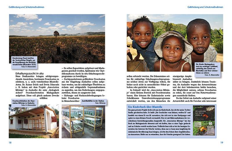 Preview: Madagaskar-Buntfrösche – Die Gattung Mantella